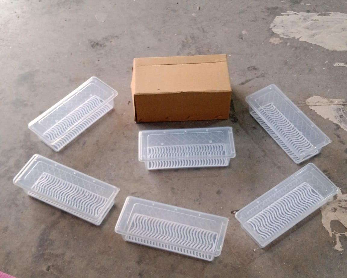 Vegetables & Fruits Freezer Storage Container (PACK OF 6PC 1500ML) - Shopmania Wholesale