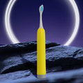 Adult Waterproof Electric Toothbrush 1 Head Battery Operated Toothbrush (1 Pc / Battery Not Included / Mix Color) - Shopmania Wholesale