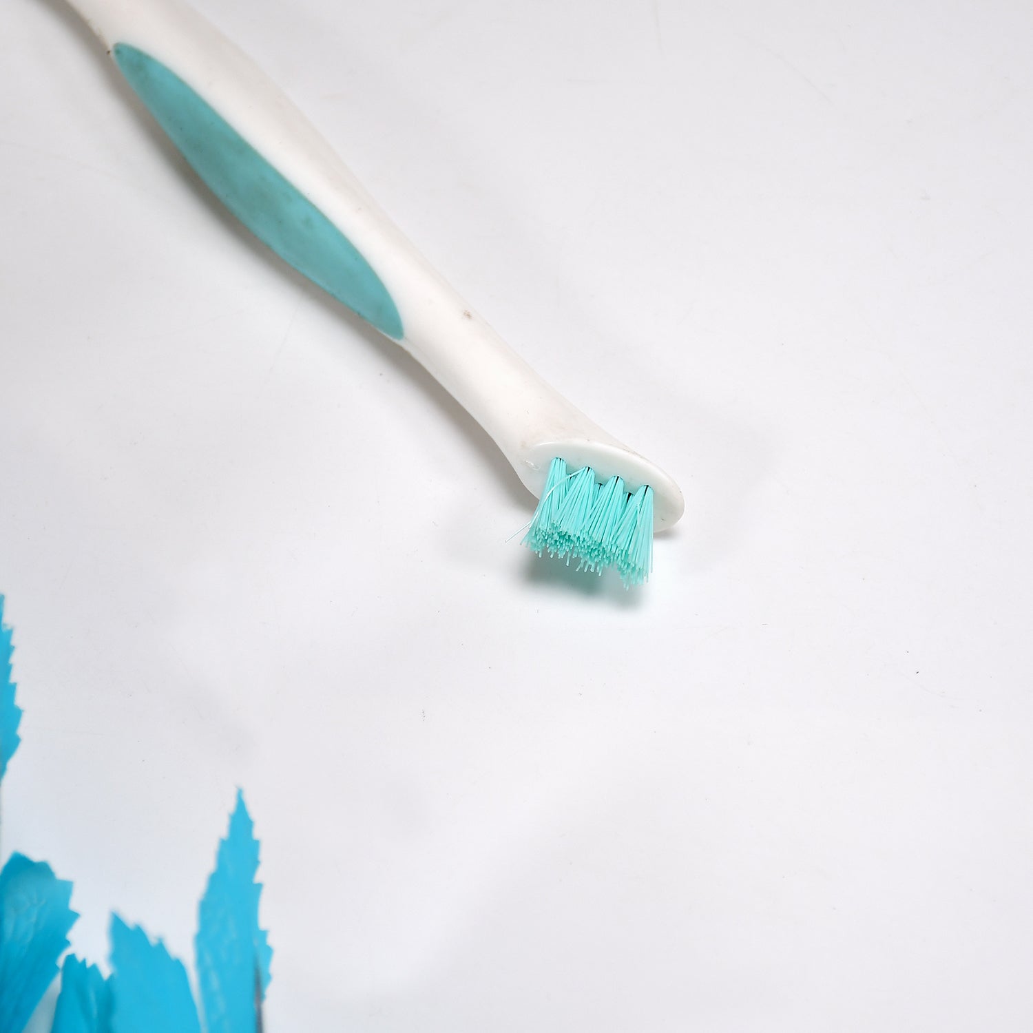 Multipurpose 2 side brush for home and kitchen use. - Shopmania Wholesale