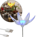 Lotus Flower Lamp with Music, Touch Open and Close, USB Rechargeable (1 Pc / Only One Color) - Shopmania Wholesale