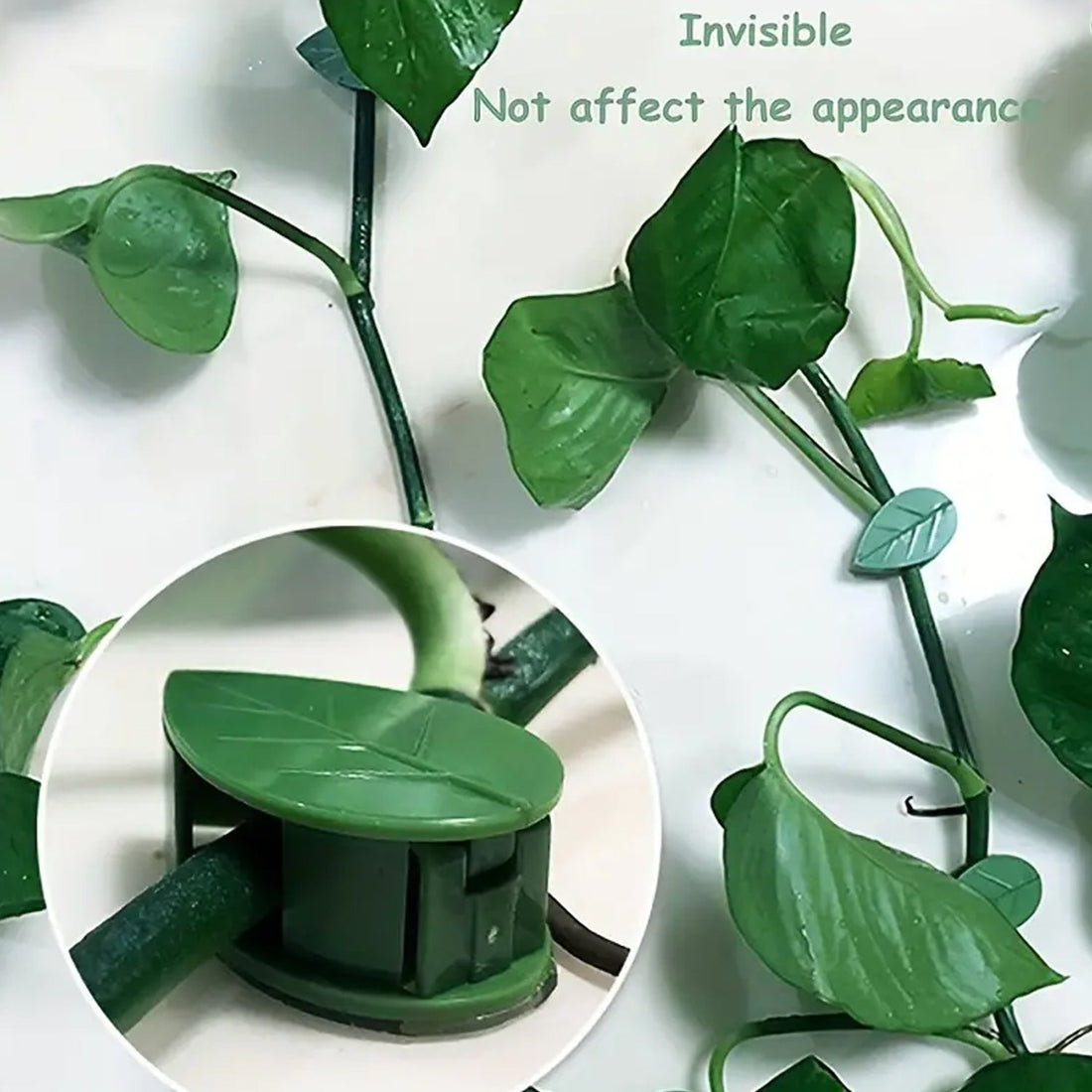 Plant Climbing Wall Fixture Clip Self-Adhesive Hook Vines Traction Invisible Stand Green Plant Clip Garden Wall Clip Plant Support Binding Clip Plants for Indoor Outdoor Decoration (30 Pcs Set) - Shopmania Wholesale