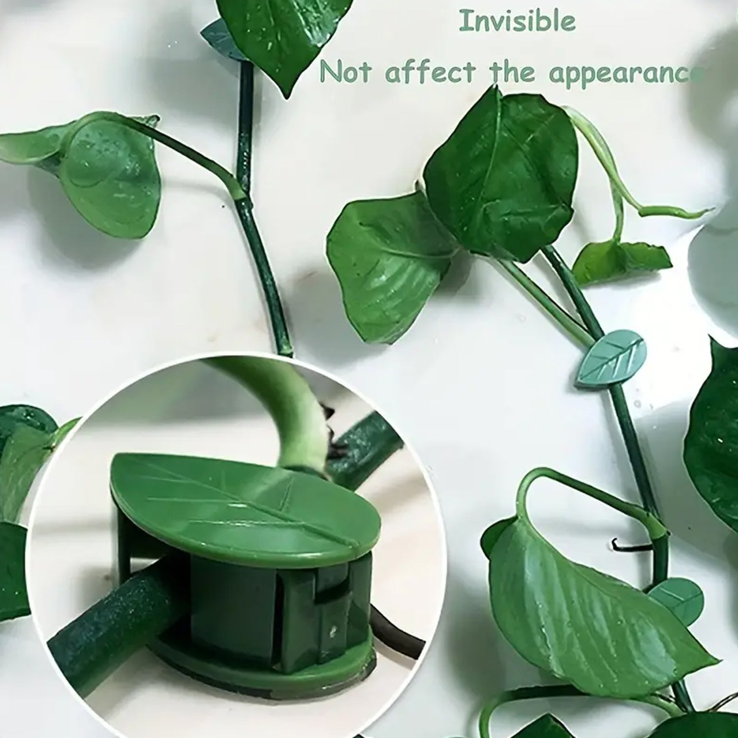 Plant Climbing Wall Fixture Clip Self-Adhesive Hook Vines Traction Invisible Stand Green Plant Clip Garden Wall Clip Plant Support Binding Clip Plants for Indoor Outdoor Decoration (30 Pcs Set) - Shopmania Wholesale