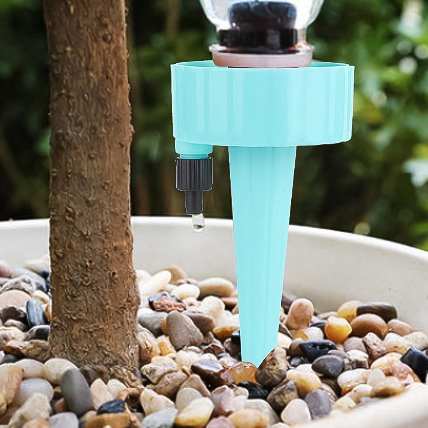Auto Plant Watering Devices (1 Pc / Mix Color) - Shopmania Wholesale
