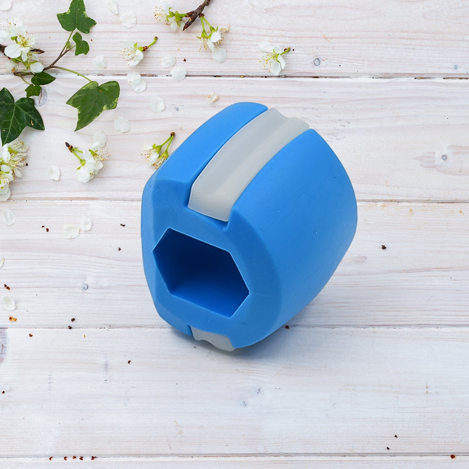 Blue Mouth Exerciser Used To Gain Sharp And Chiselled Mouth Easily And Fast (1 Pc) - Shopmania Wholesale