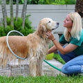 Pet Shower Sprayer, Cat Dog Grooming Bath Massager, With Microfiber Glove (1 Set) your brand