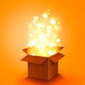Mystery Box Premium Product Mystery Box Value Rs. 5000 - Shopmania Wholesale