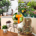 Auto Plant Watering Devices (4 Pcs Set) - Shopmania Wholesale