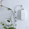 Plant Climbing Wall Fixture Clip Self-Adhesive Hook (200 Pcs Set) - Shopmania Wholesale