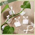 Reusable plant clips set for wall training and supporting plants