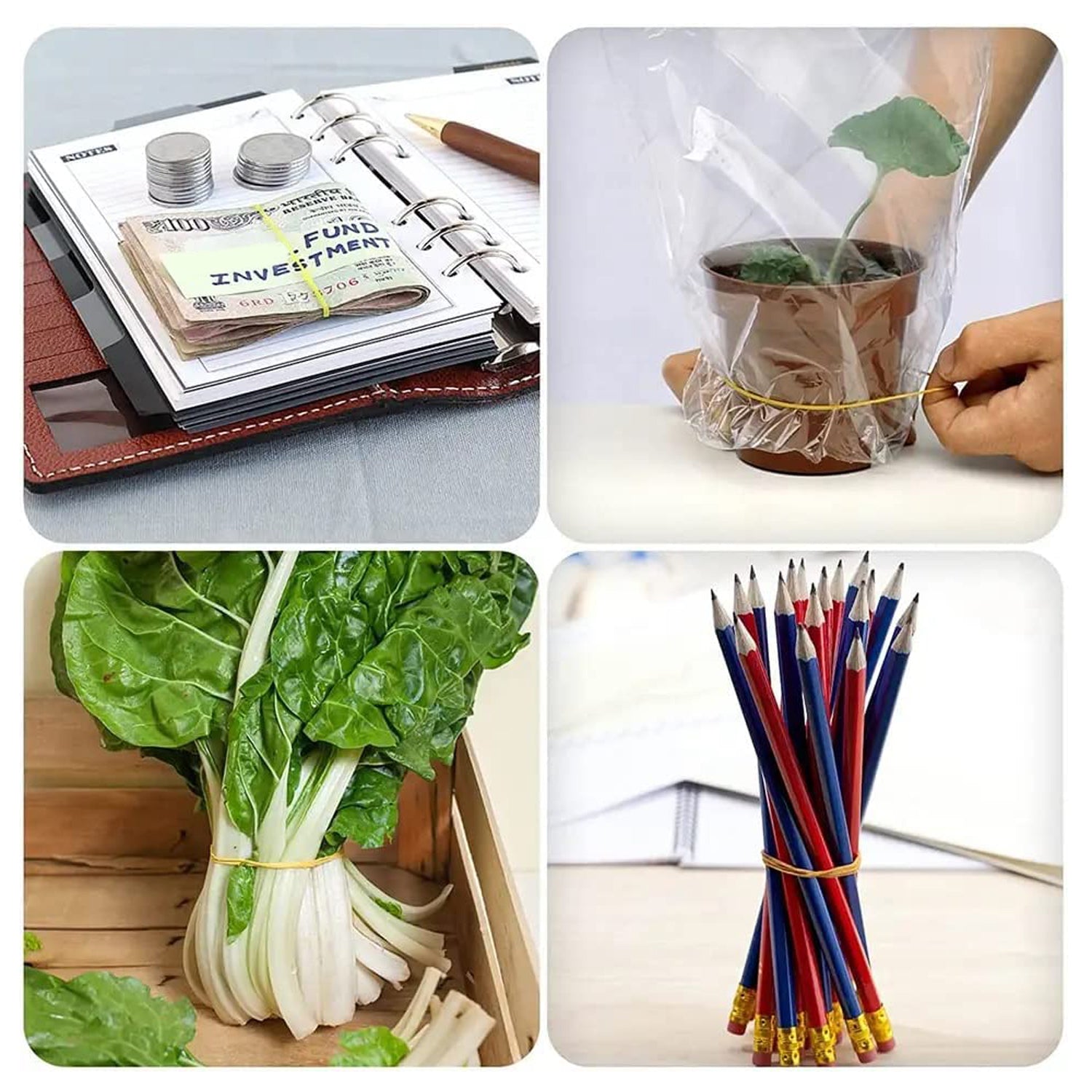 RUBBER BAND FOR OFFICE/HOME AND KITCHEN ACCESSORIES ITEM PRODUCTS, ELASTIC RUBBER BANDS, FLEXIBLE REUSABLE NYLON ELASTIC UNBREAKABLE, FOR STATIONERY, SCHOOL MULTICOLOR (2 Inch 50 GM)) - Shopmania Wholesale