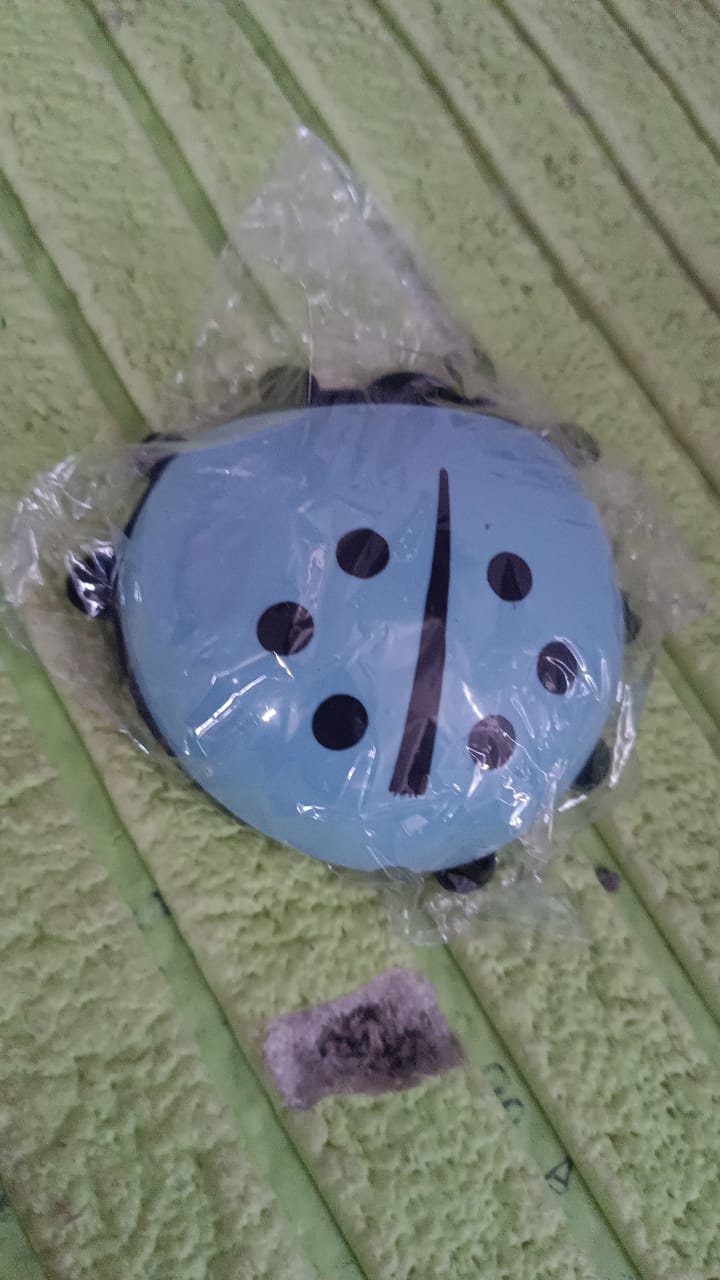 Ladybug Toothbrush Holder (1 Pc) - Shopmania Wholesale