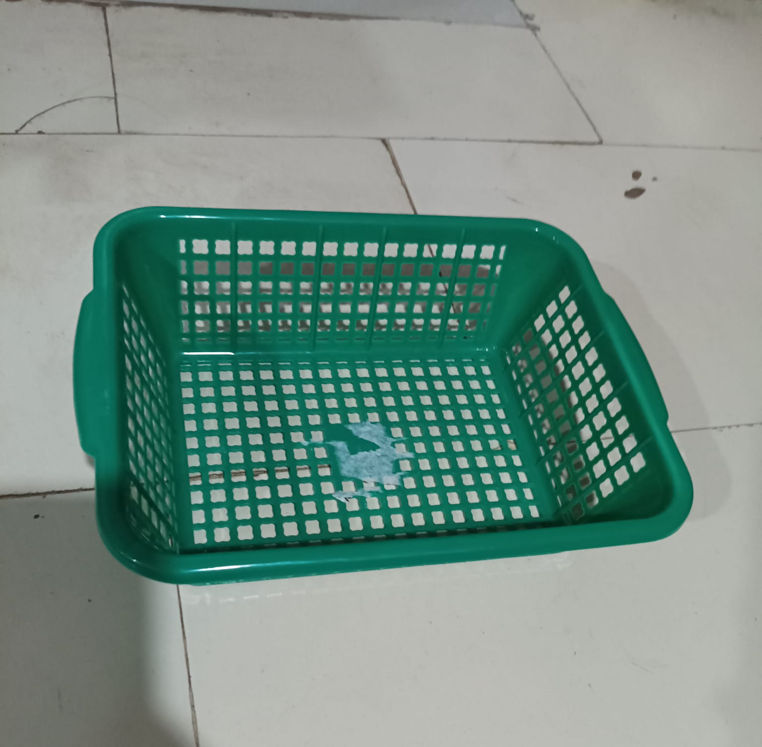 Plastic 1 Pc Kitchen Small Size Dish Rack Drainer Vegetables and Fruits Washing Basket Dish Rack Multipurpose Organizers (29x22CM Mix Color) - Shopmania Wholesale