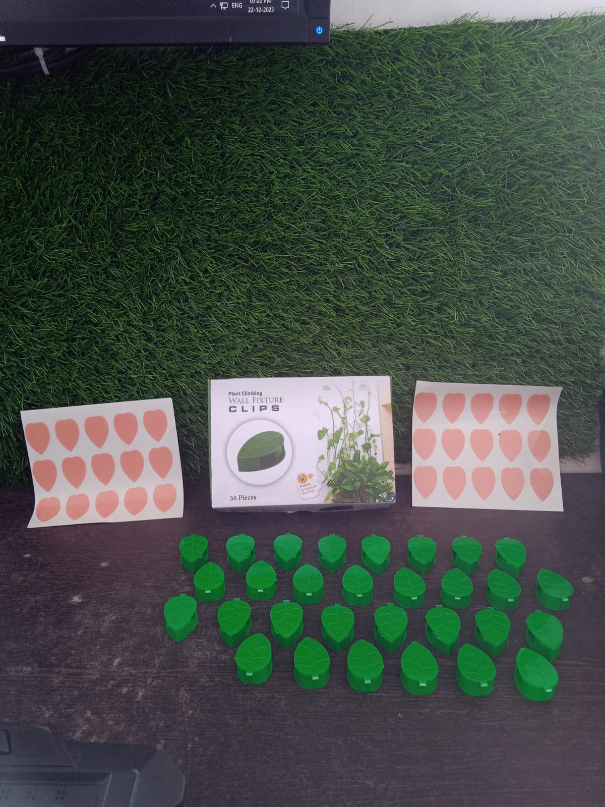 Plant Climbing Wall Fixture Clip Self-Adhesive Hook Vines Traction Invisible Stand Green Plant Clip Garden Wall Clip Plant Support Binding Clip Plants for Indoor Outdoor Decoration (30 Pcs Set) - Shopmania Wholesale