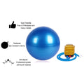 Heavy Duty Gym Ball Non-Slip Stability Ball with Foot Pump for Total Body Fitness - Shopmania Wholesale