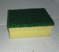 2 in 1 kitchen scrub sponge, for sink and bathroom cleaning