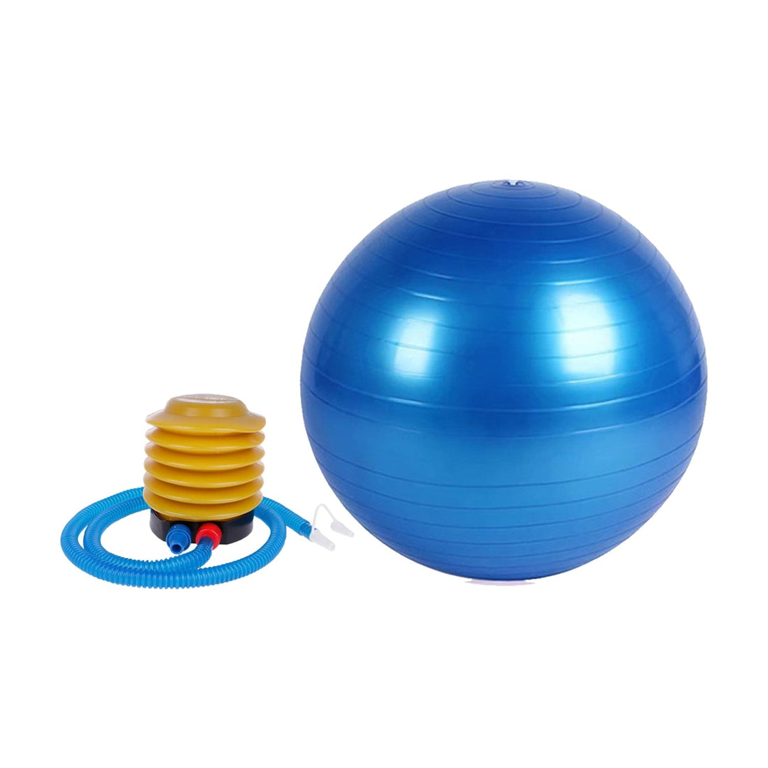 Heavy Duty Gym Ball Non-Slip Stability Ball with Foot Pump for Total Body Fitness - Shopmania Wholesale