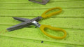 Multifunction Vegetable Stainless Steel Herbs Scissor with 5 Blades (1 Pc) - Shopmania Wholesale