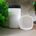 Plastic Hygienic Toothbrush Travel Portable Case your brand
