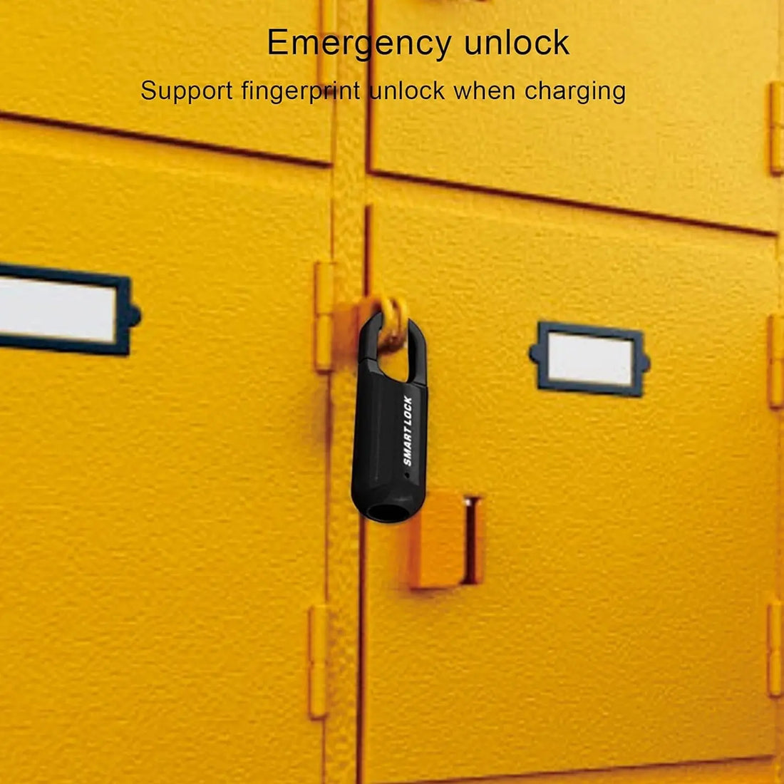 SmartLock Pro