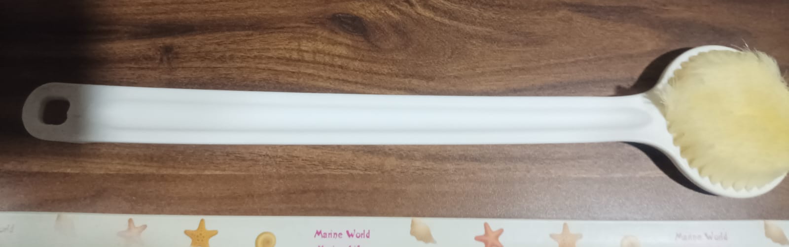 Body Back Scrubber Brush Long Handle (1 Pc / 40 CM) - Shopmania Wholesale
