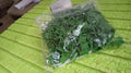 Plant Climbing Wall Fixture Clip Self-Adhesive Hook (200 Pcs Set) - Shopmania Wholesale